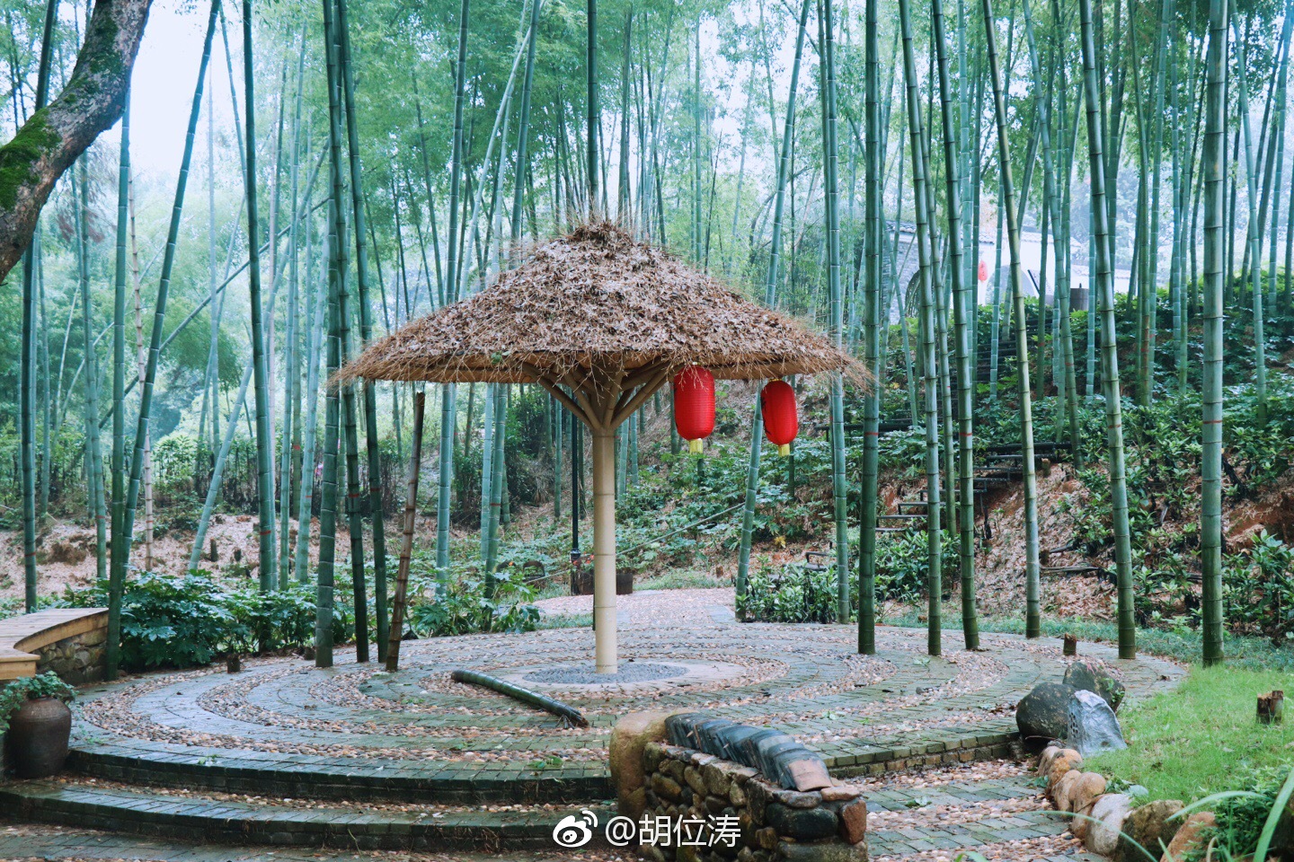 溪霞民宿忘忧村 风光旖旎美景相依_新浪看点