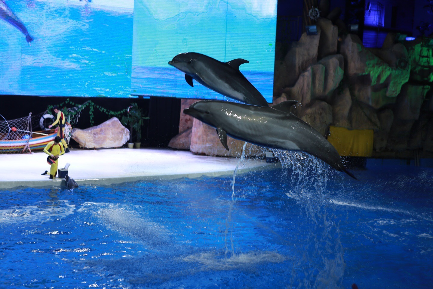 大人小孩都爱玩的乐活乐都,最佳的体验莫过于两日游