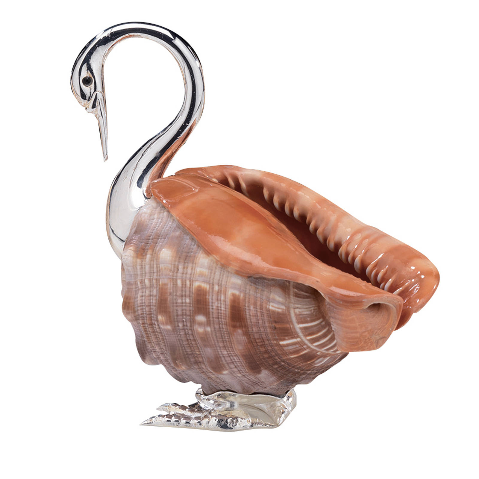 贝壳工艺品 / 鸟._新浪看点