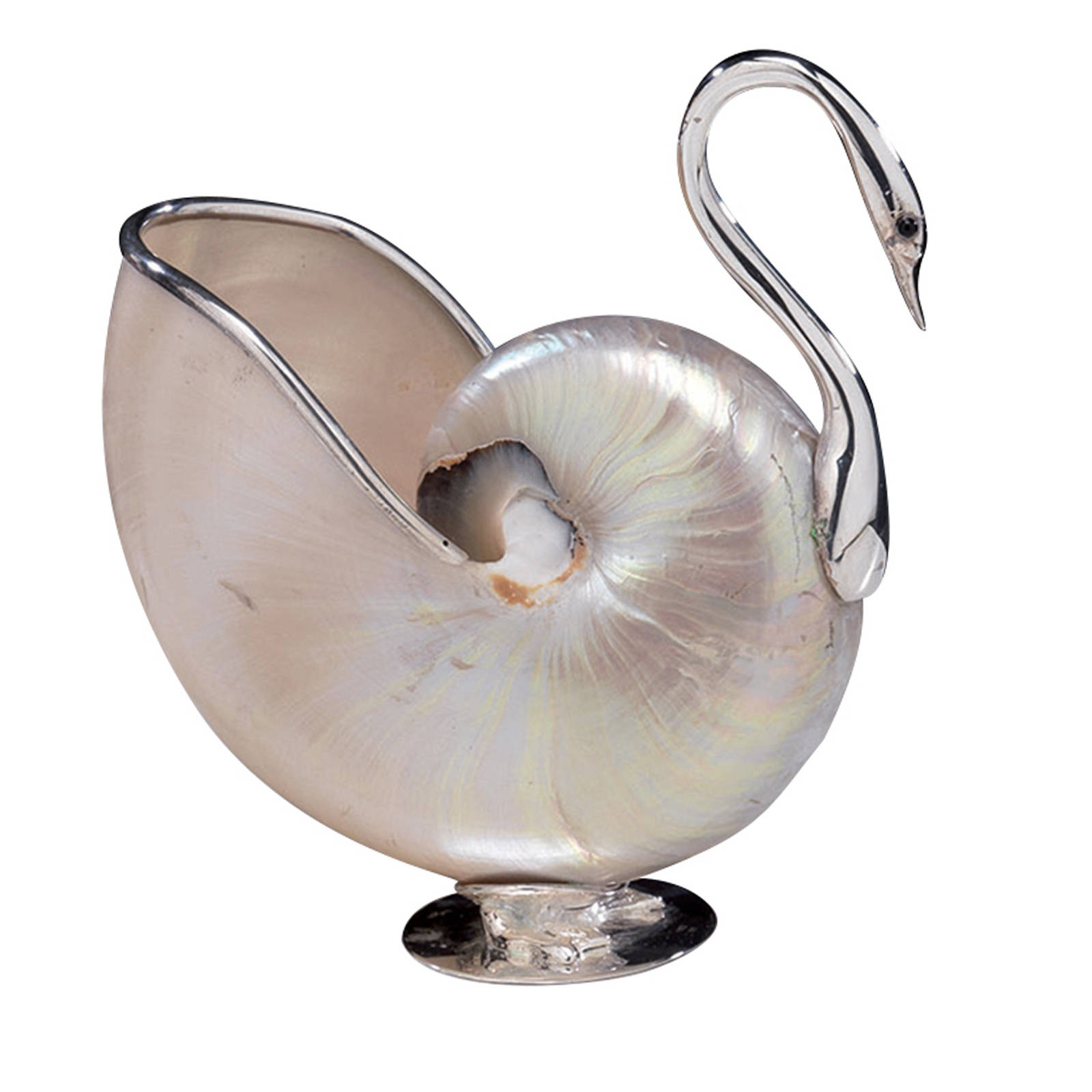 贝壳工艺品 / 鸟._新浪看点