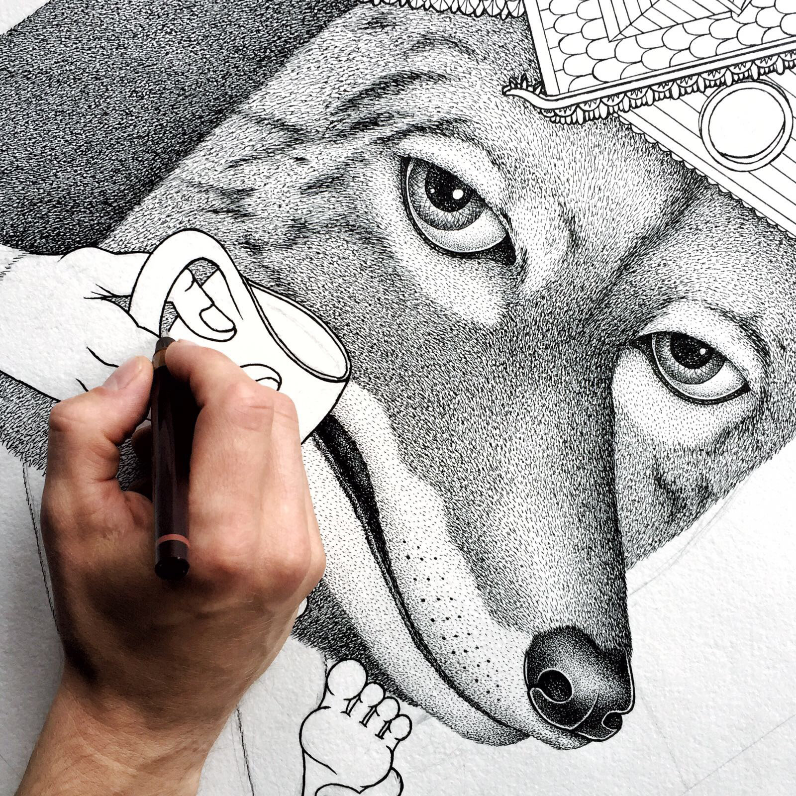 针管笔插画 / dzmitryi kashtalyan(俄罗斯)