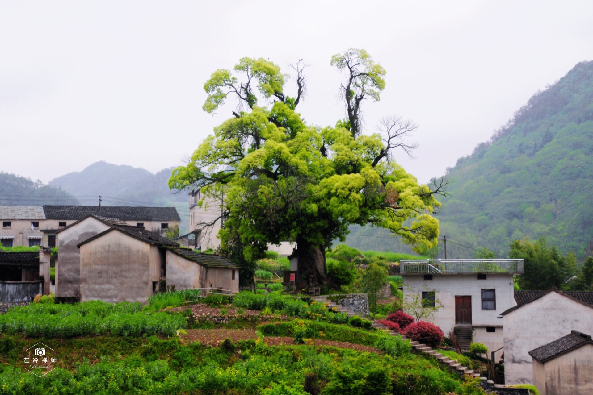 绩溪湖村是安徽省级历史文化名村也是徽杭古道必经之路