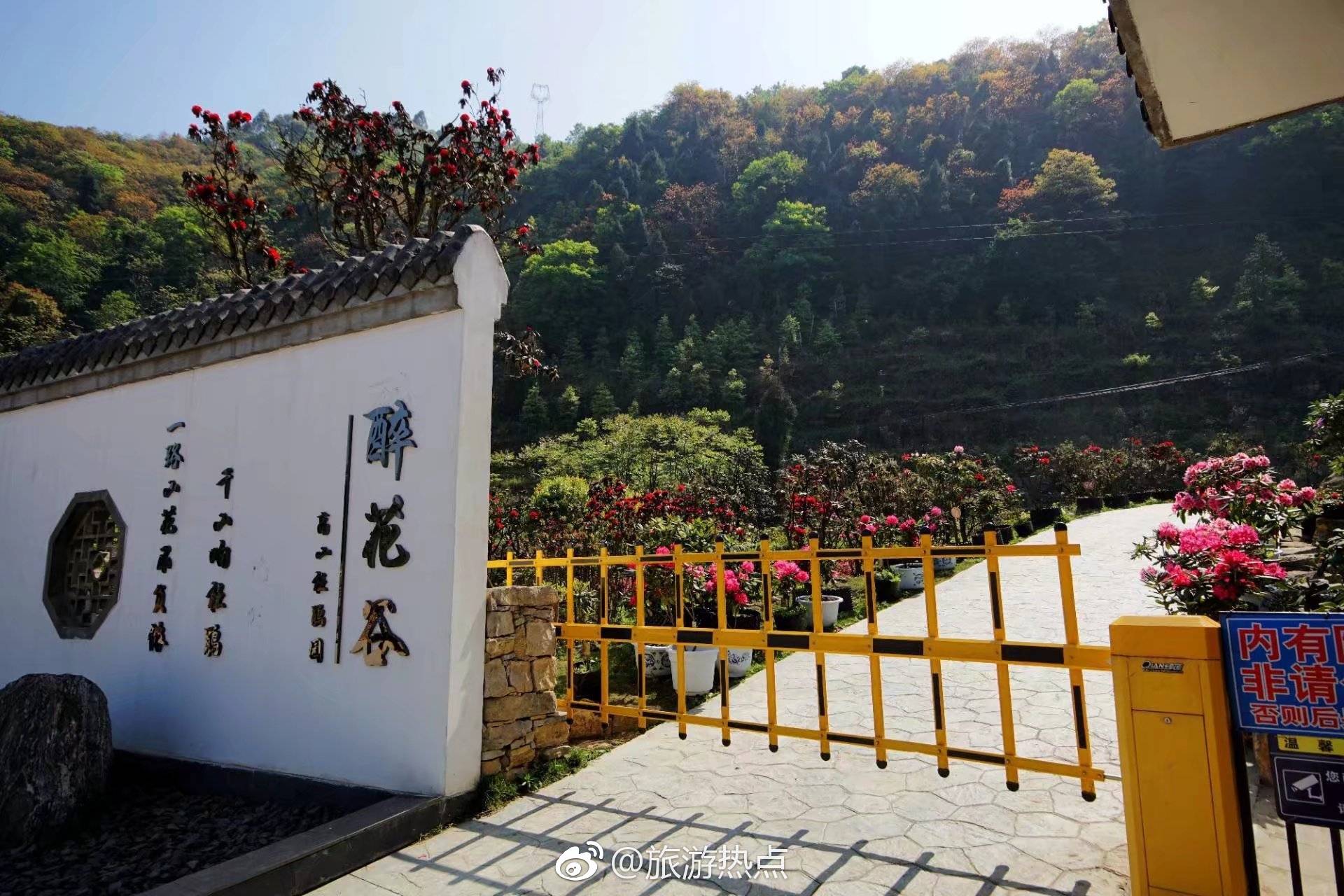 乐山也有玻璃栈道!不用去张家界了——沙湾区醉花谷