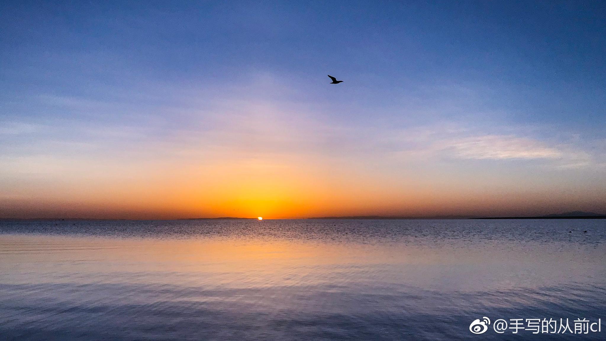 喜欢清晨青海湖畔的日出,向往候鸟翱翔天空的自由.