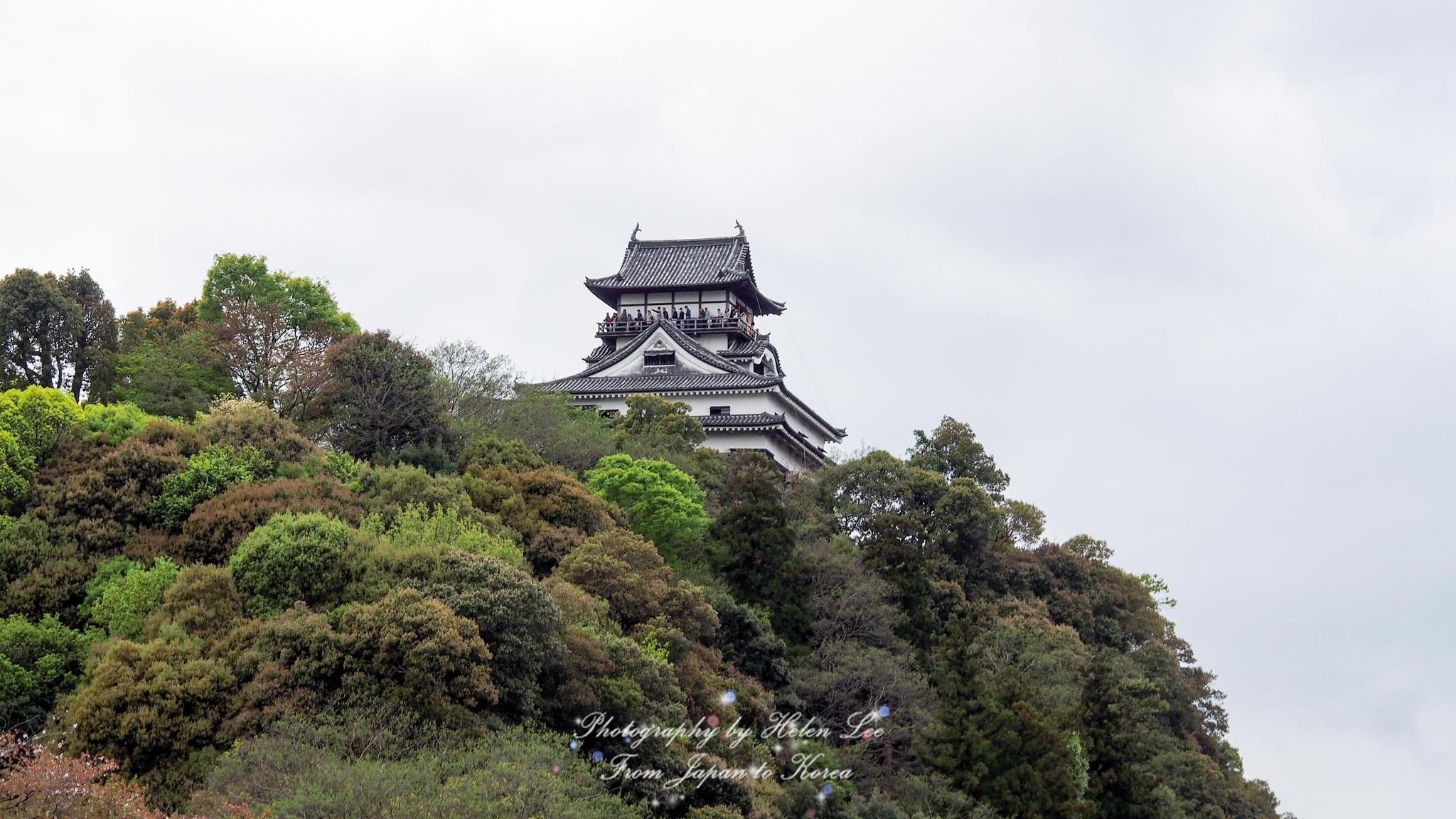 心形绘马,国宝天守,古风小街,日本的这座小城惊喜不断