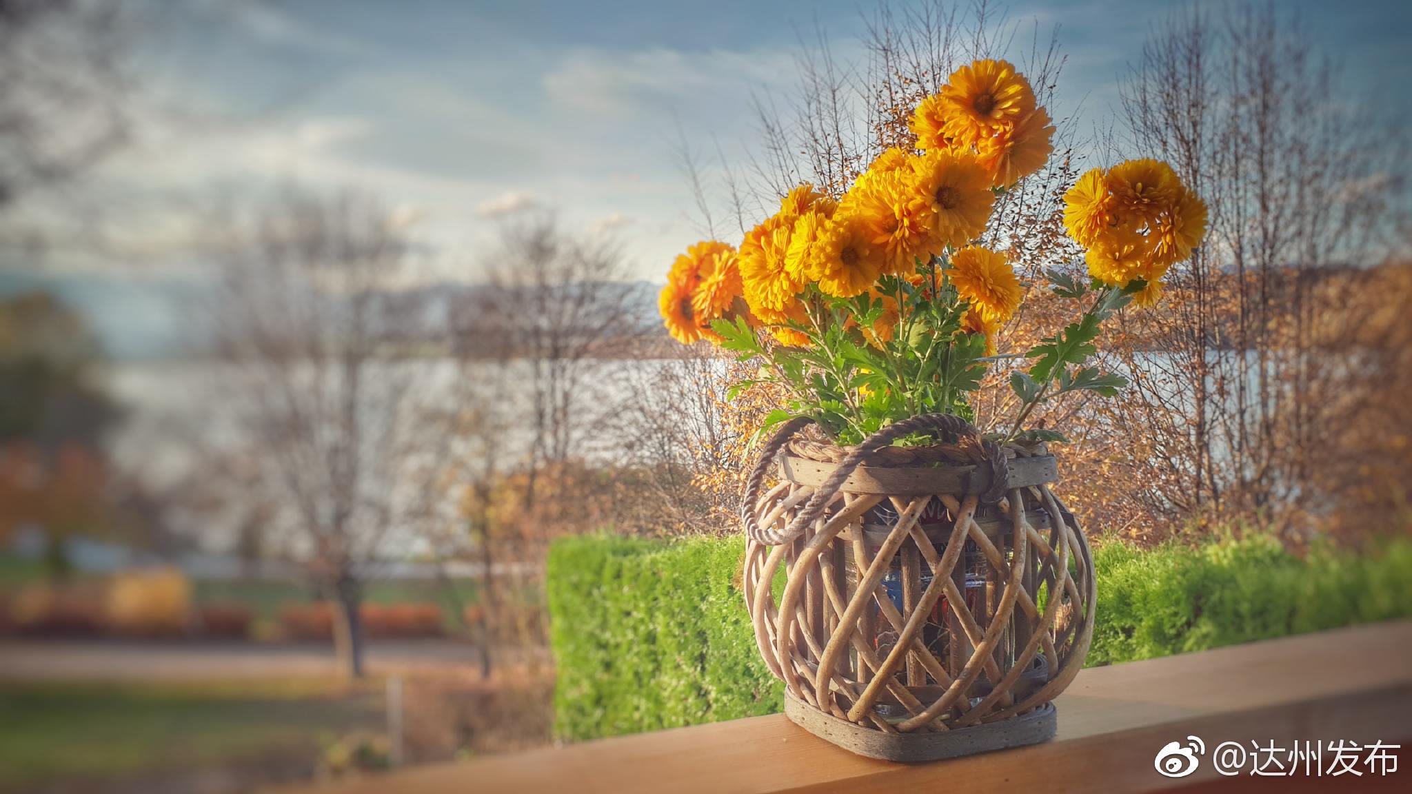 人生是段漫长的征途,倘若一直行走得十分轻松