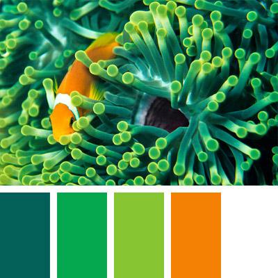 一组实物配色方案色彩