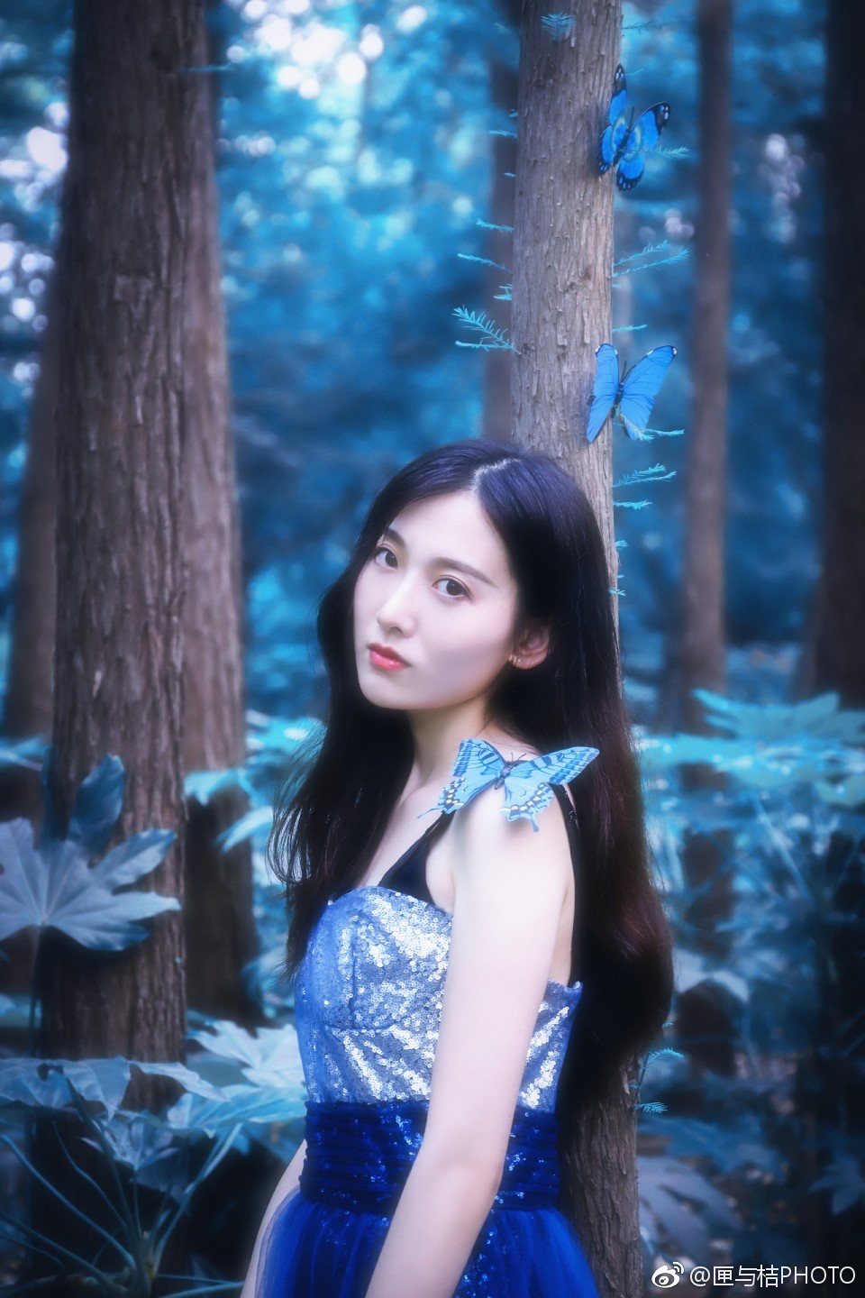 蝴蝶依旧狂恋着花    你却错过我的年华 :@林澄-   :@匣与桔photo