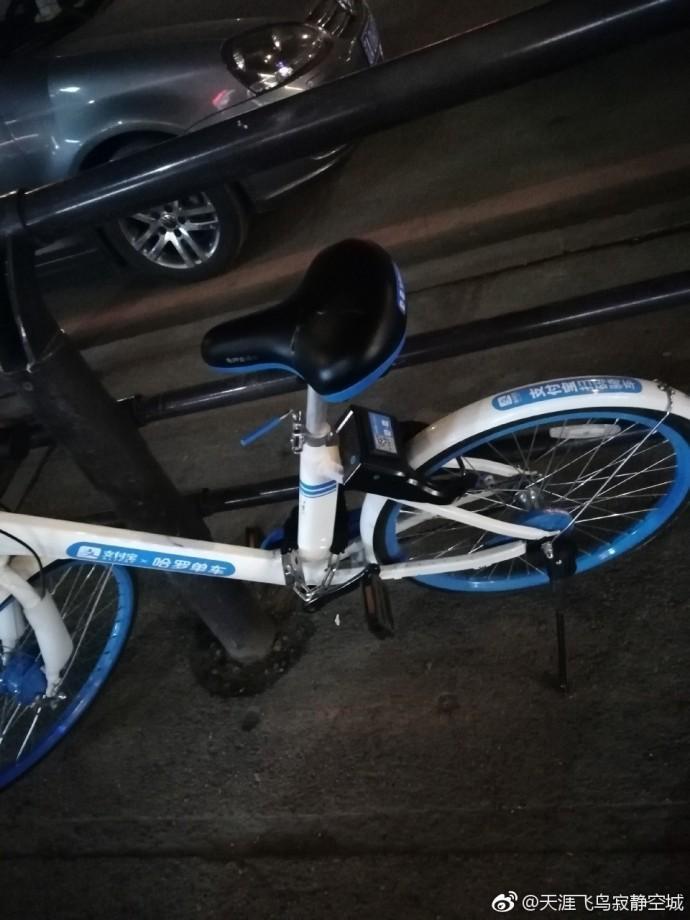 沈阳共享单车现状!一个字 惨!