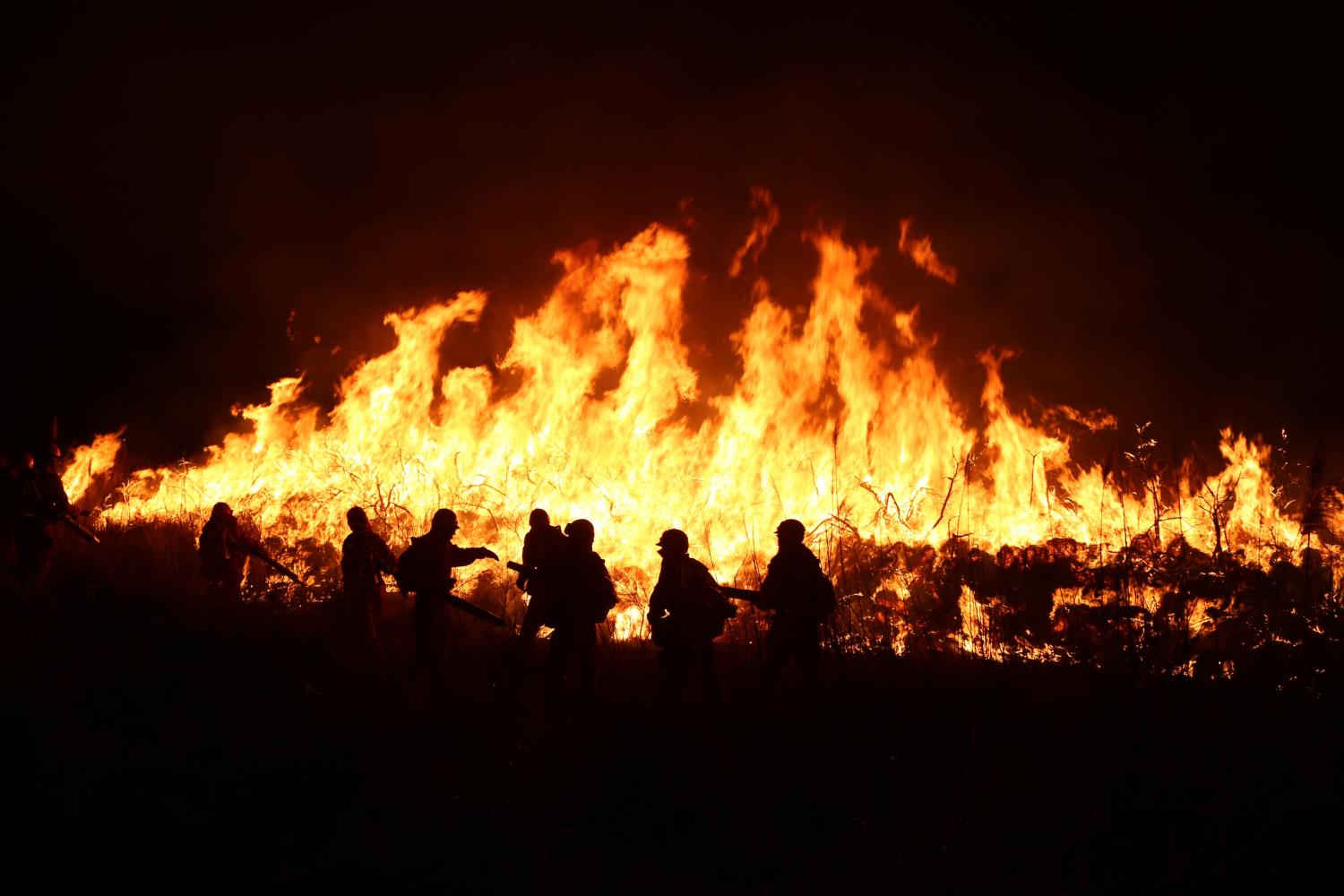 中哈边境突发大火, 武警森林官兵昼夜奋战火场一线
