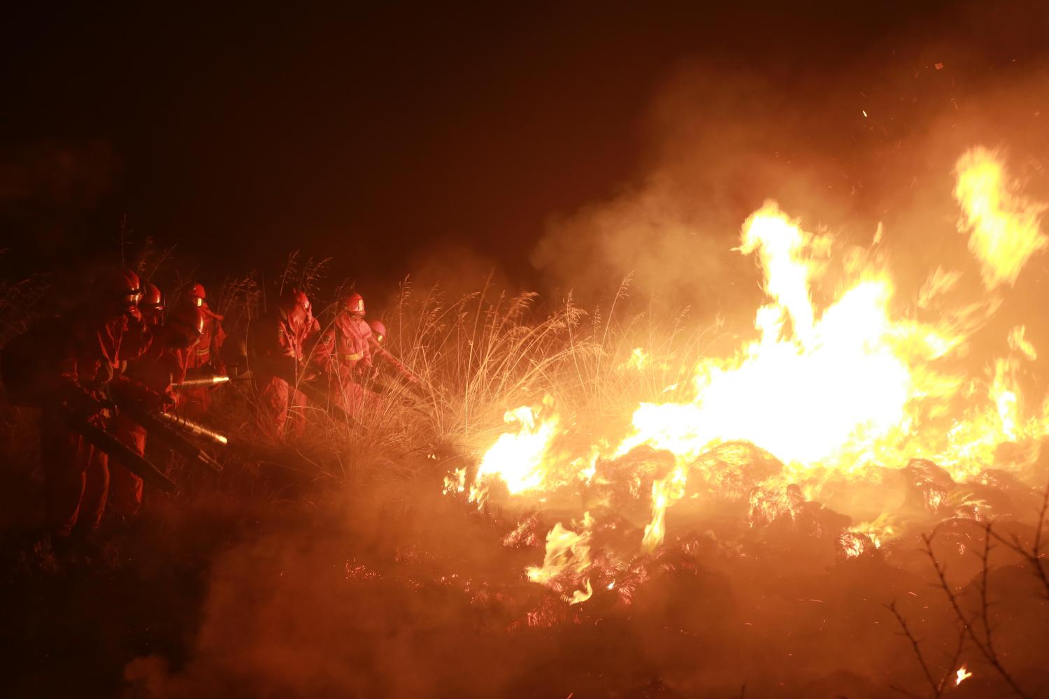 中哈边境突发大火, 武警森林官兵昼夜奋战火场一线