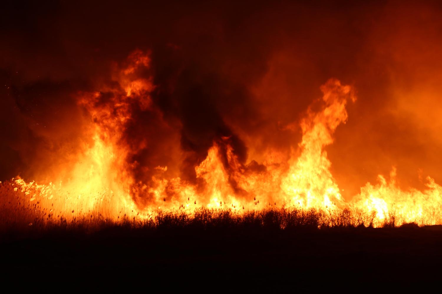中哈边境突发大火, 武警森林官兵昼夜奋战火场一线