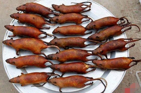 南方|美食|小老鼠_新浪新闻