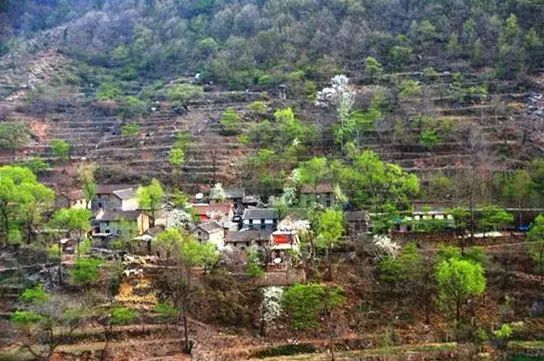 这个村庄1000多年不通公路,仅有7户人家,村民却月入过万