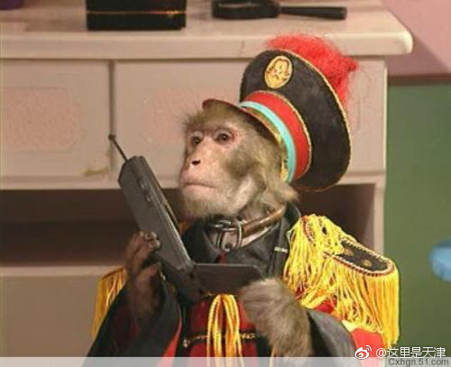 猴界不法分子突然想起来小时候看的那个动物王国窃案猴探长