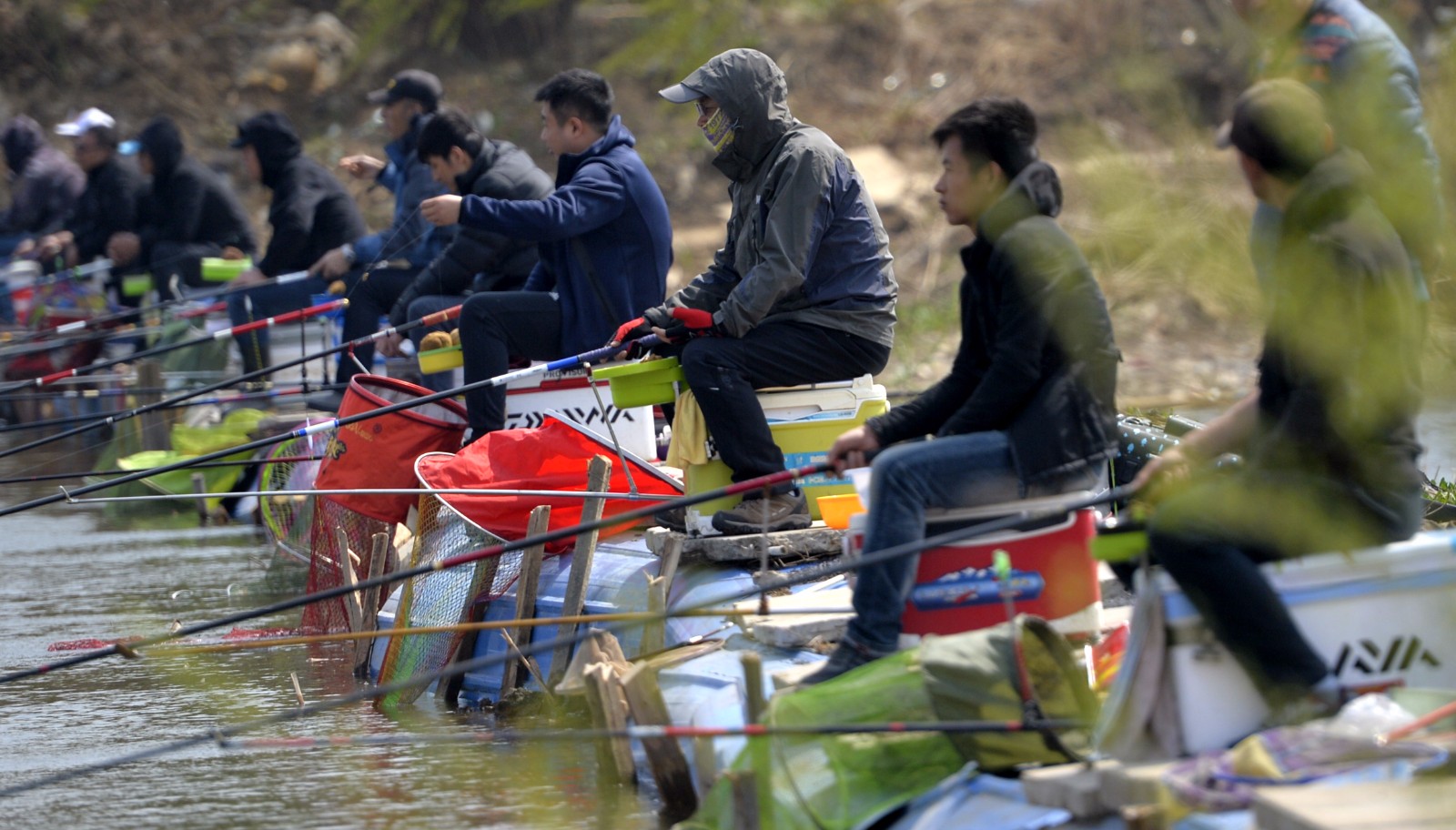 城郊农村老鱼塘开竿垂钓:鱼获太多只能用车推