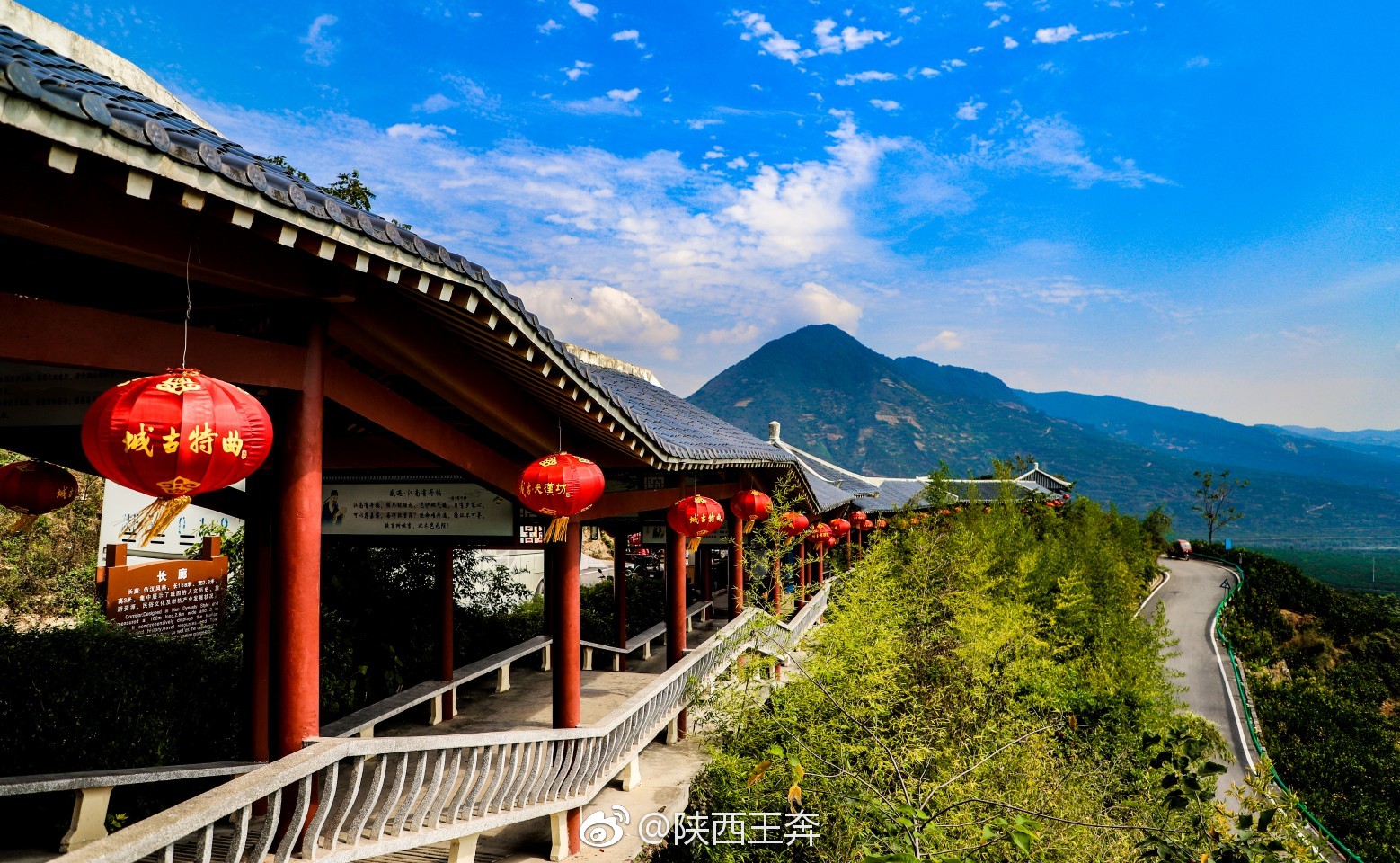 橘子红了城固橘园刷爆朋友圈