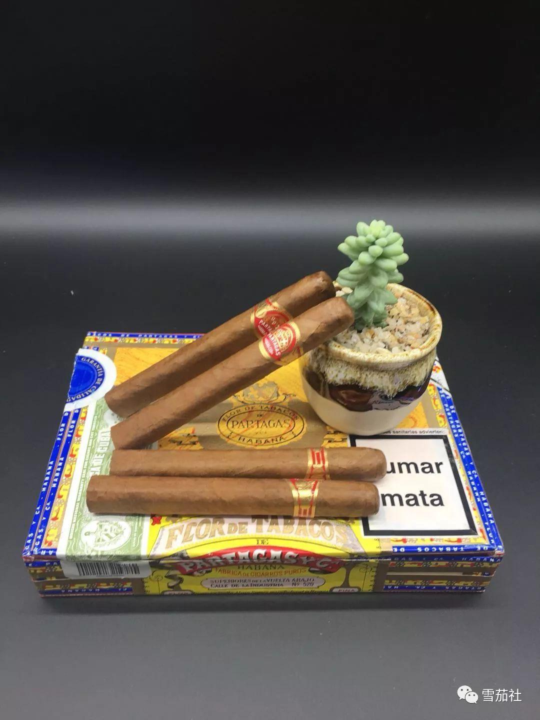 走进福恩特多米尼加雪茄工厂掌门人带你领略品牌魅力