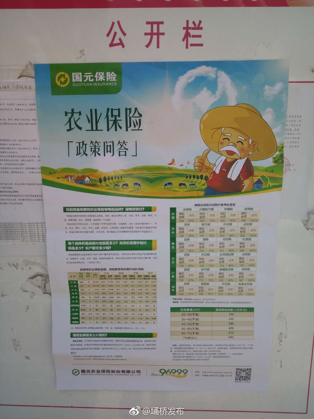 农业保险自查报告 农业保险专项检查报告