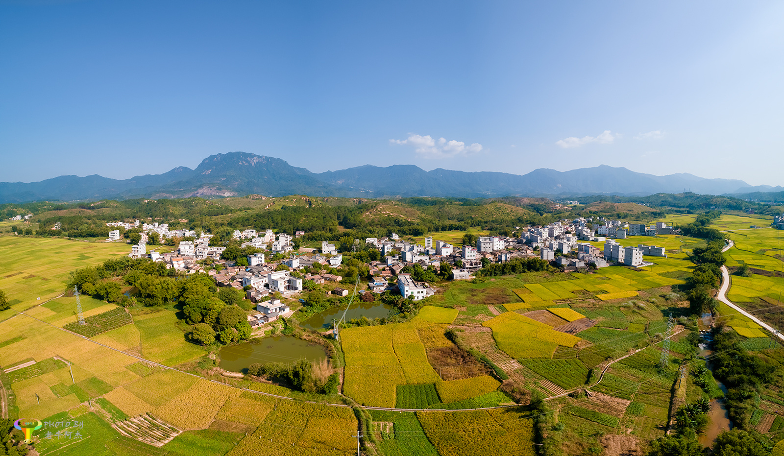 周日下乡拍摄肇庆封开杏花镇三联村下罗村的千顷稻田美景肇庆同城
