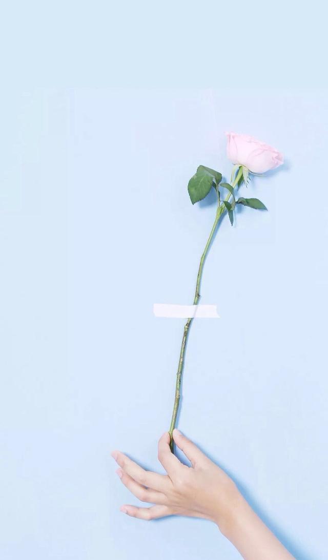 素净雅致