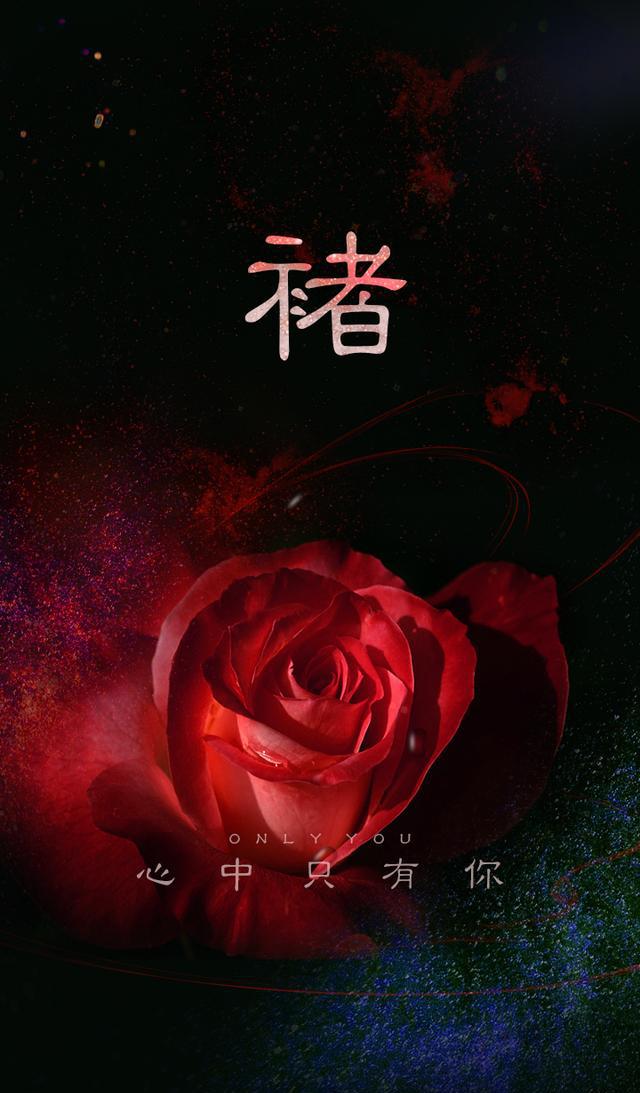 炫酷红色玫瑰 爱情黑色背景百家姓手机壁纸屏保 心中只有你