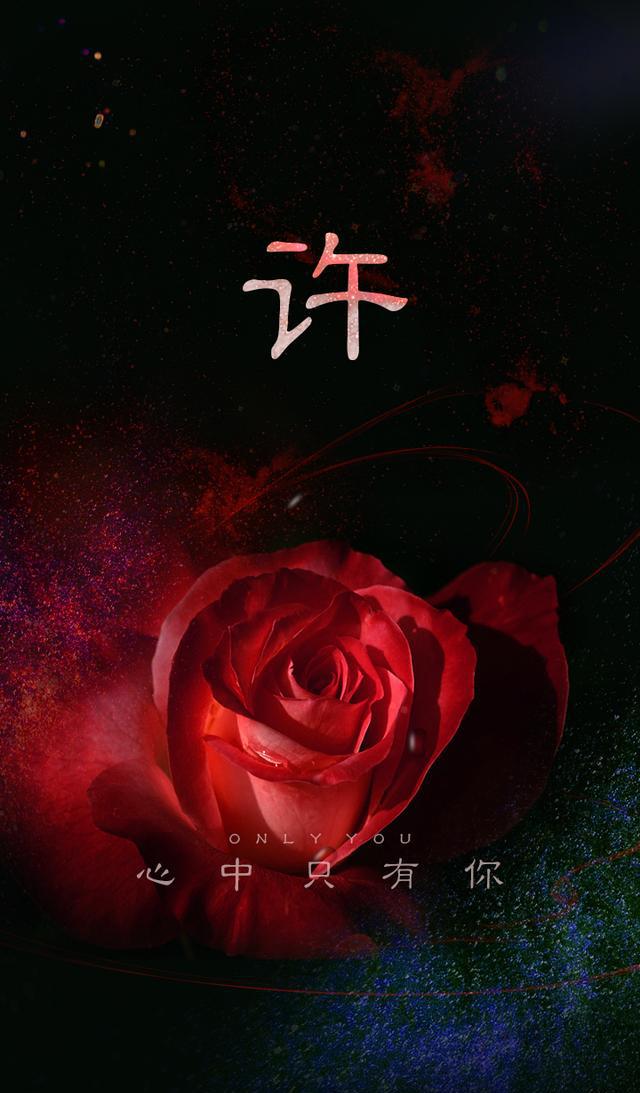 炫酷红色玫瑰 爱情黑色背景百家姓手机壁纸屏保 心中只有你