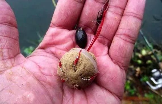 秋季钓草鱼的炸弹钩钓法,如何一步步操作