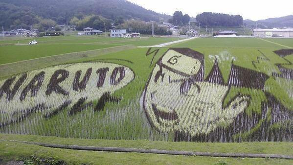 不知道这幅稻田画能留