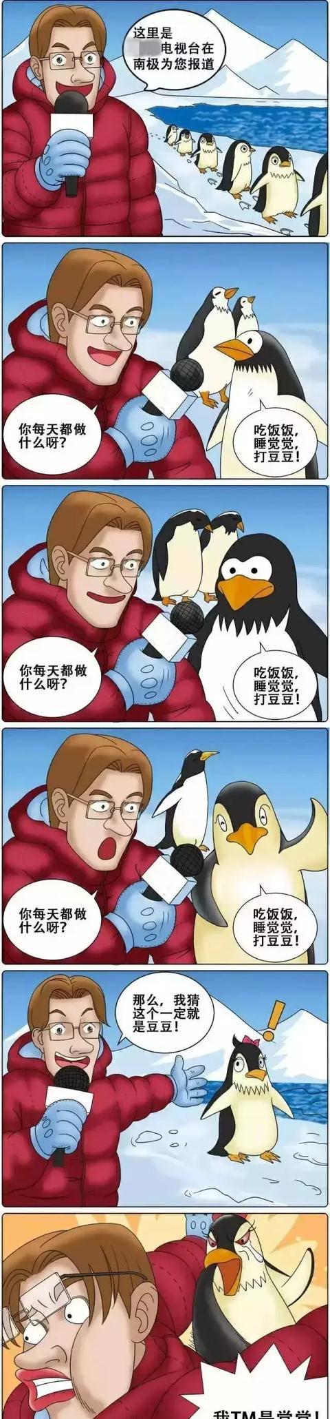 一个颠覆你认知的笑话,笑的肚子疼