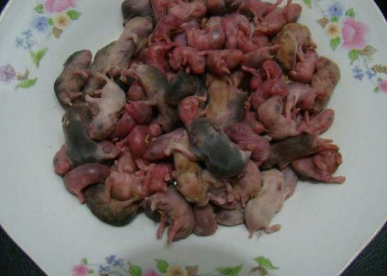 为何鼠三叫被称为史上最没有人性的美食之一?