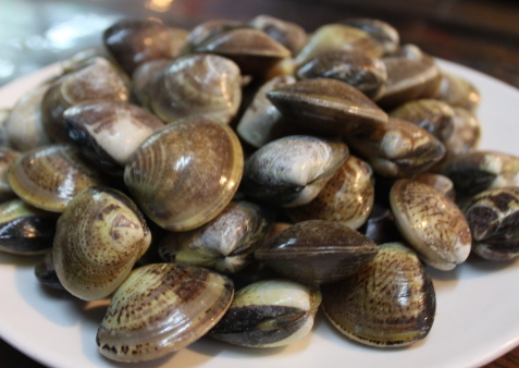 牡蛎板栗是一种弱碱性食物,口感香甜.