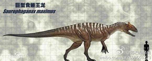 最强十大食肉恐龙排名第一名曾虐杀霸王龙