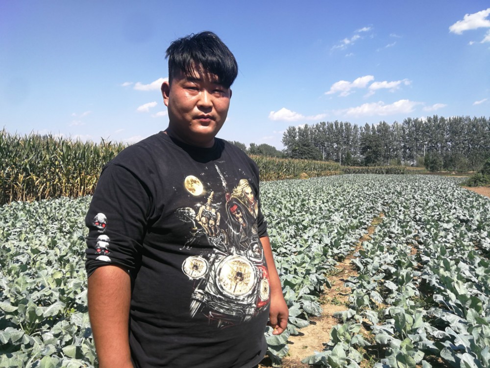 农村青年从土地里"刨金块",滋润帅小伙晒成黑金刚