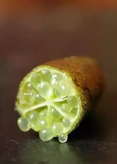 世界十大最贵水果   第一星座网