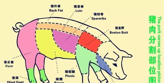 用这种蔬菜腌肉,老肉秒变小鲜肉