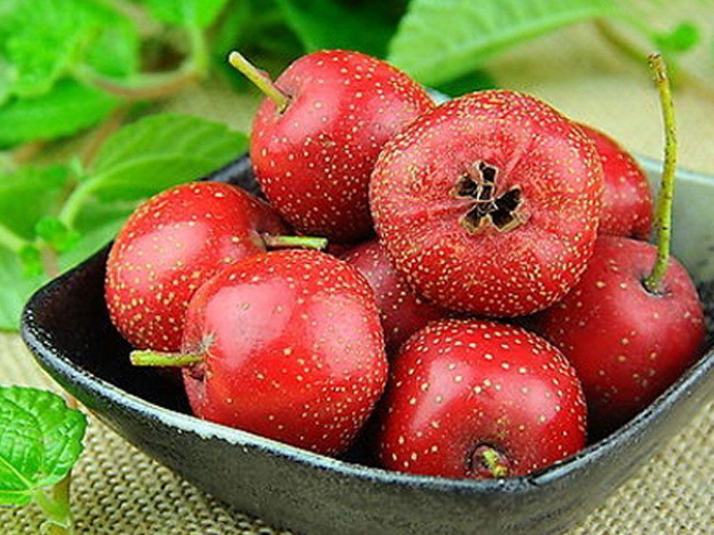 这些天然的降血脂的食物,每天坚持吃点,血脂恢复到正常