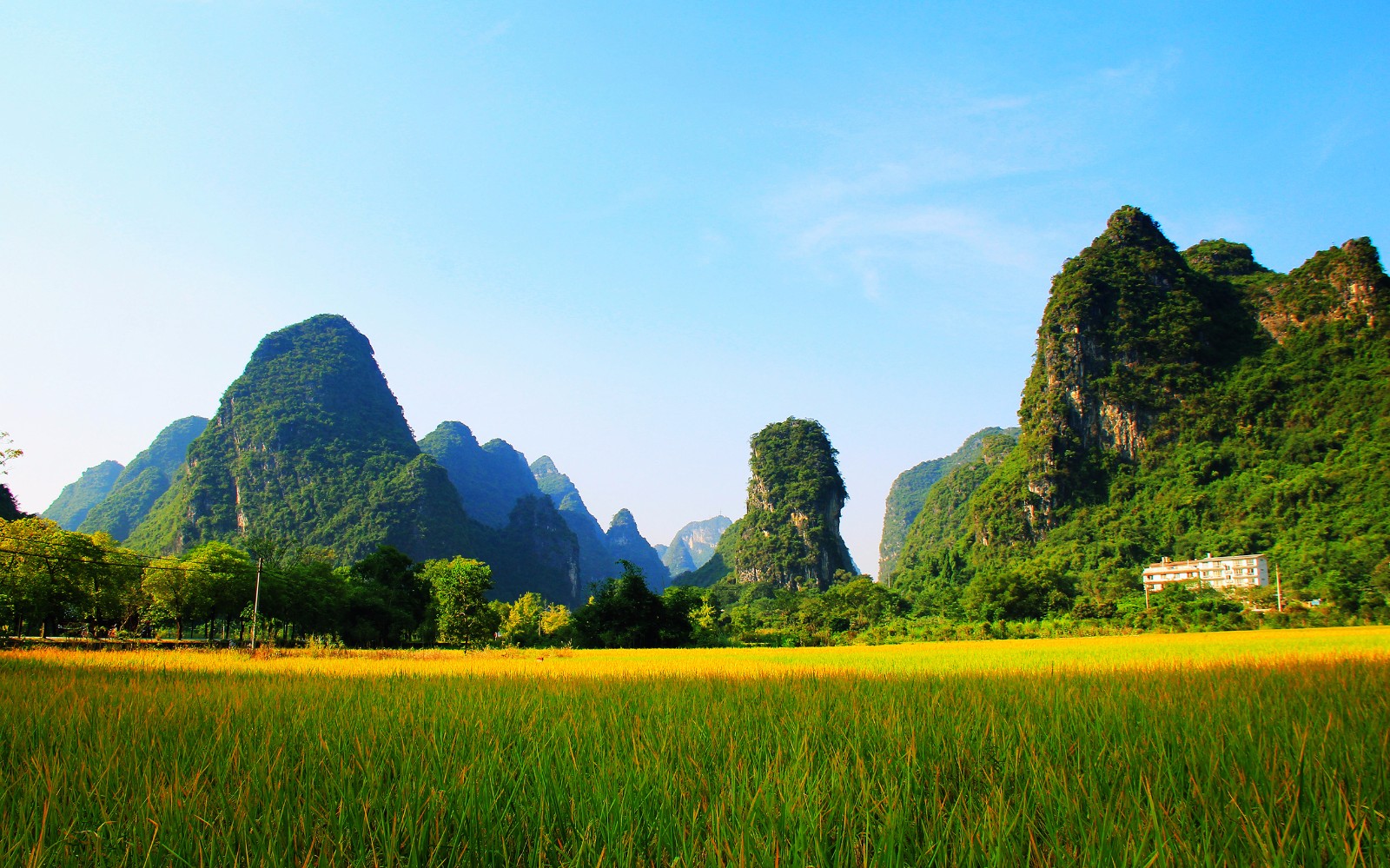 最美在阳朔:十里画廊,美景不断|十里画廊|阳朔|桂林山水_新浪新闻