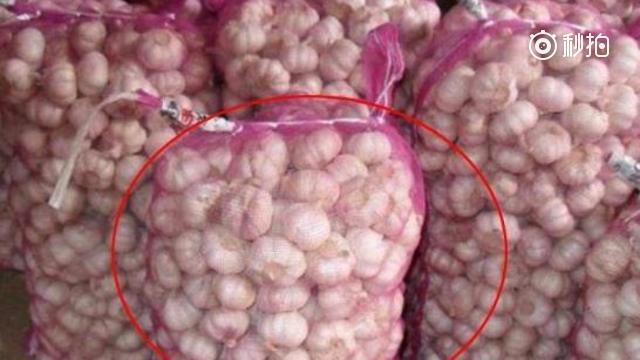 大蒜总是放几天就发芽?只需一根香烟就能搞定