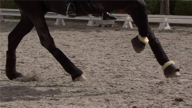 为啥是"露马脚"不是"露人脚"?探寻俗语背后的文化故事