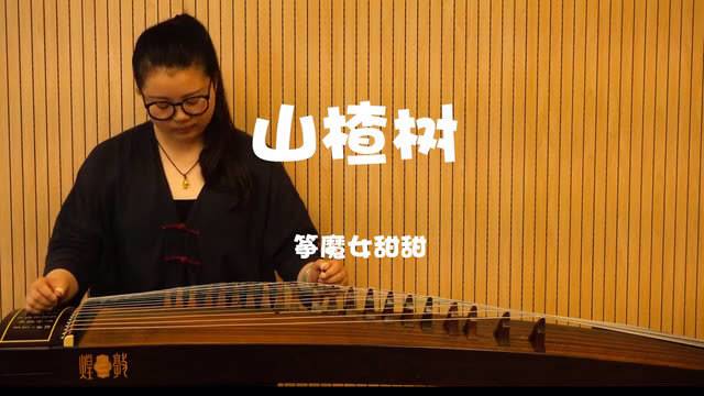古筝演绎《山楂树》,演奏 ,当手风琴响起,古筝开始连续的摇指就让人