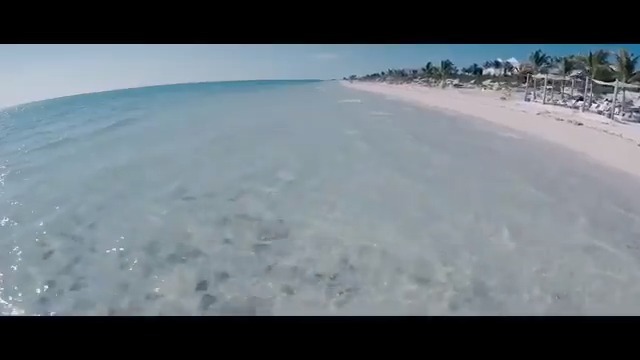 莉哥《唱腔另类》完整版,火的一塌糊涂