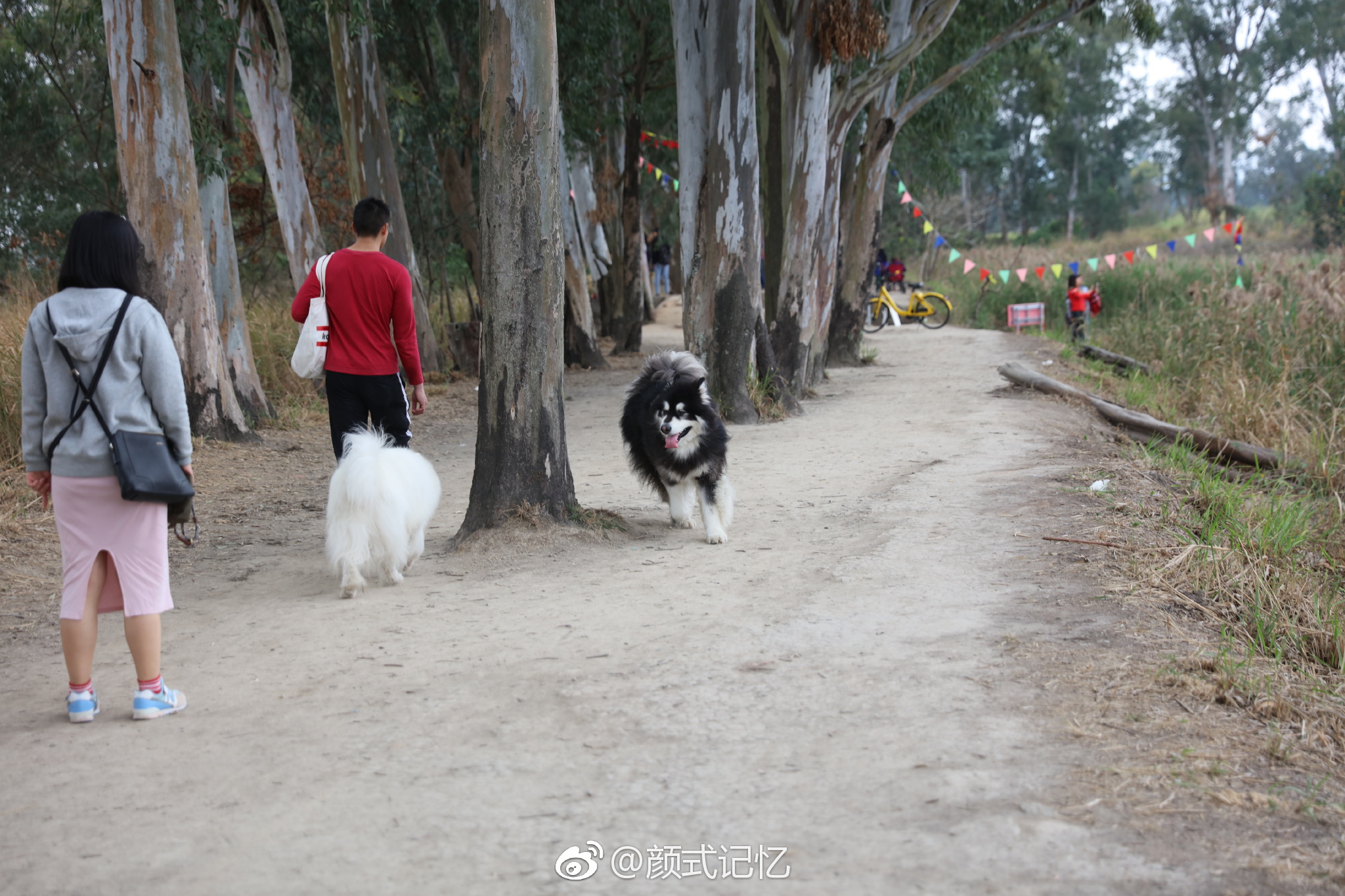 放狗一一香港元朗南生围(游香港南生围拍摄)