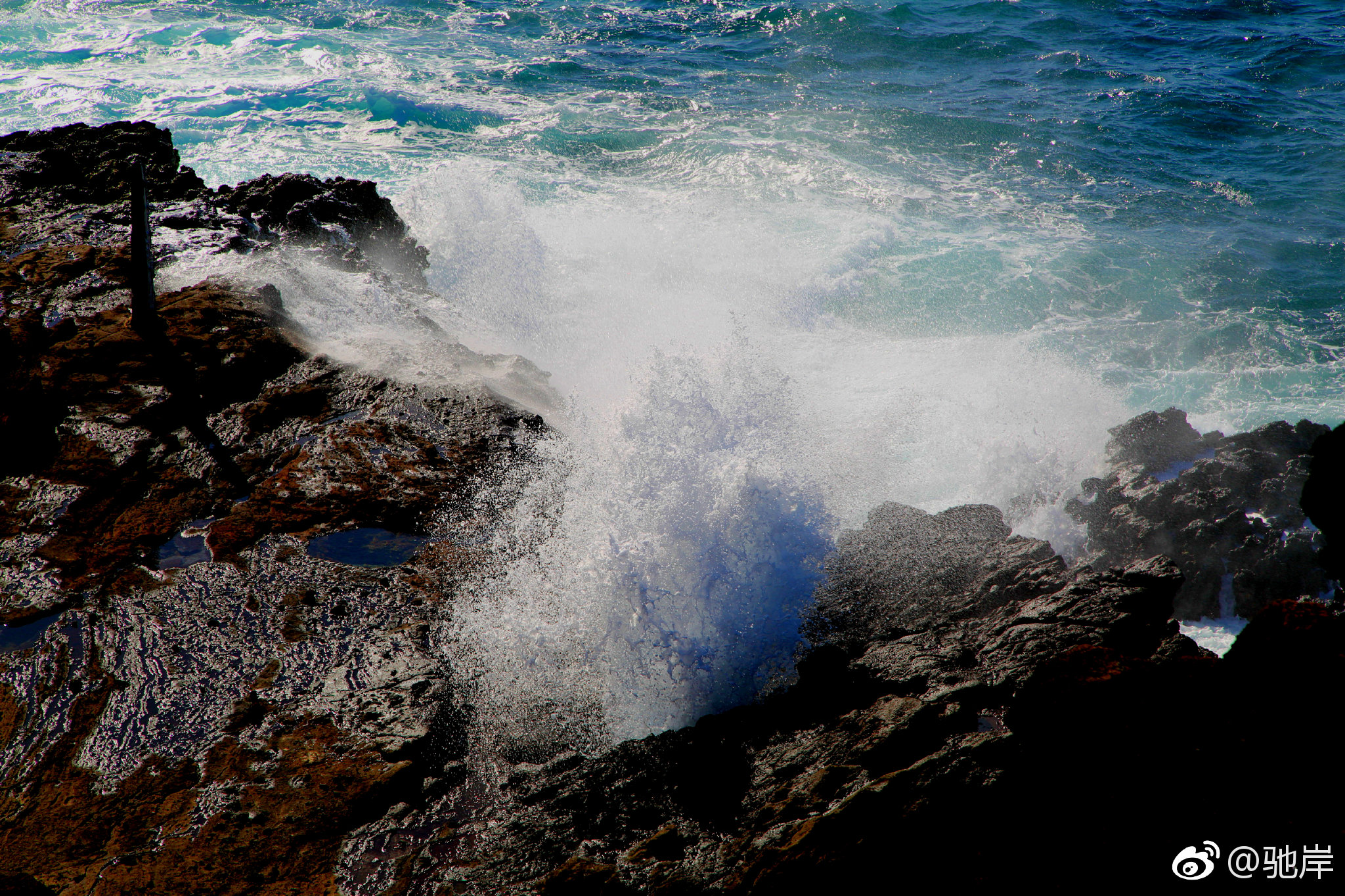 海礁摄于夏威夷