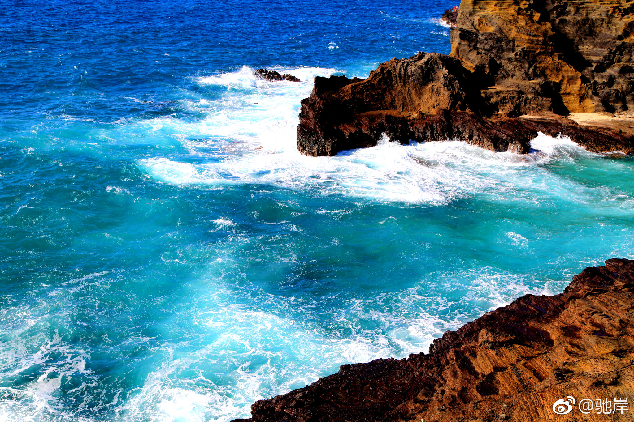 海礁摄于夏威夷