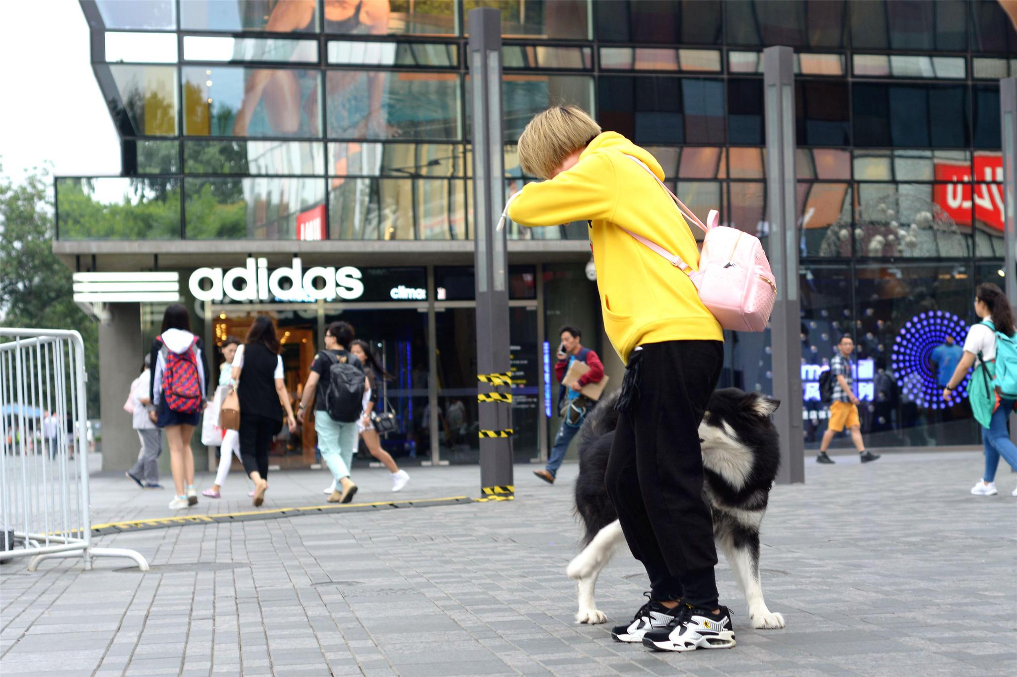 见到美女走不动路的二哈,真是太有意思了