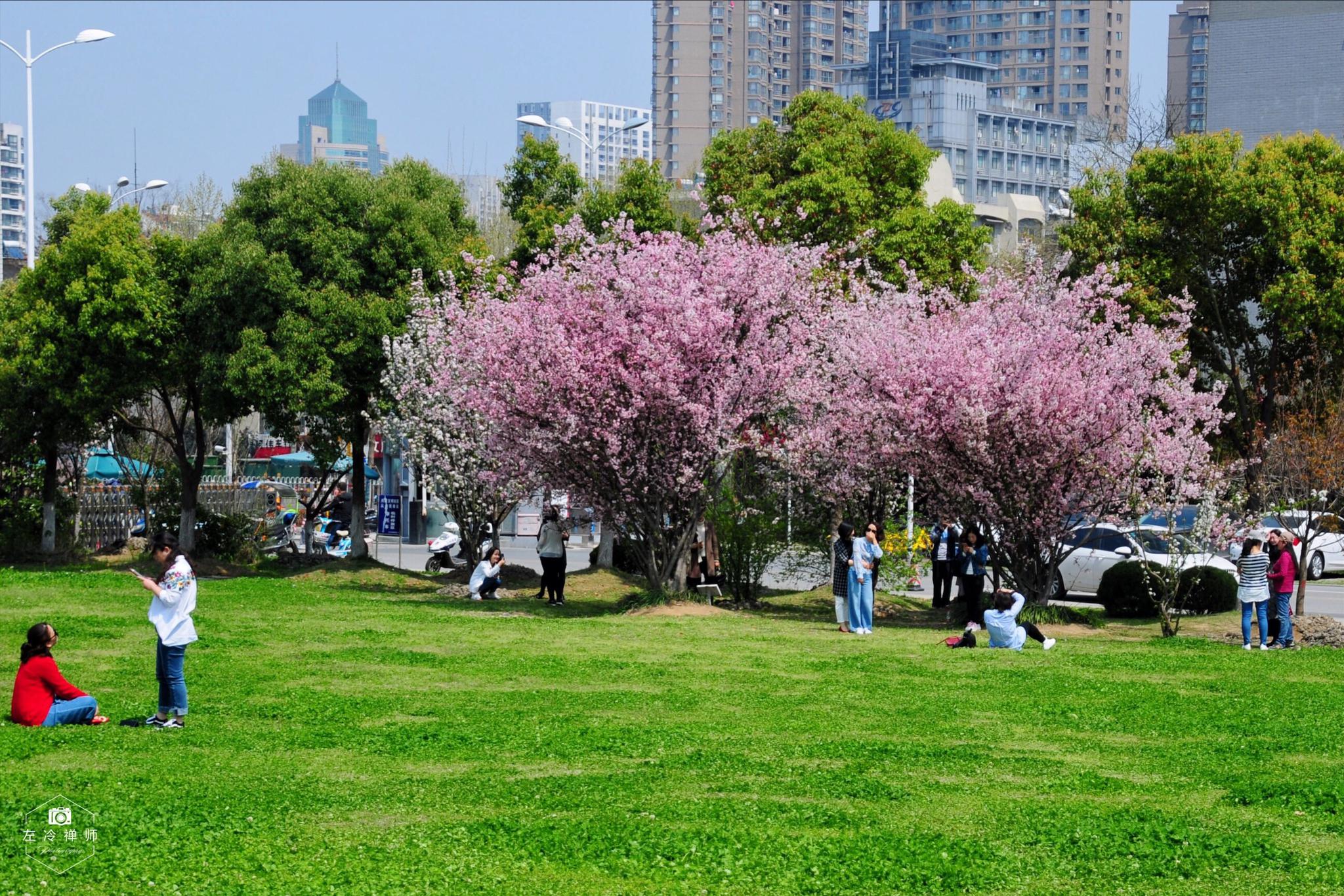 如果有机会重返校园 你最想做什么