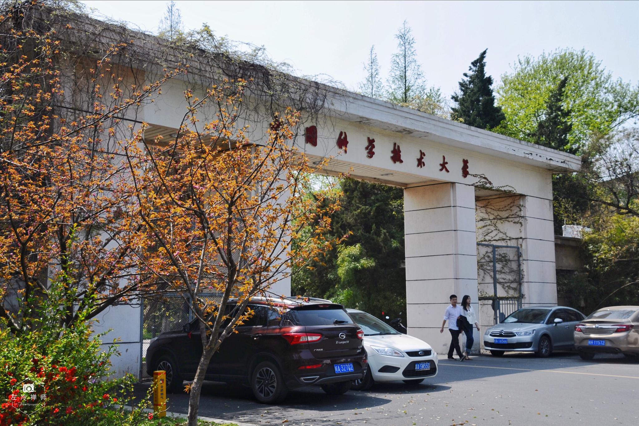 如果有机会重返校园 你最想做什么