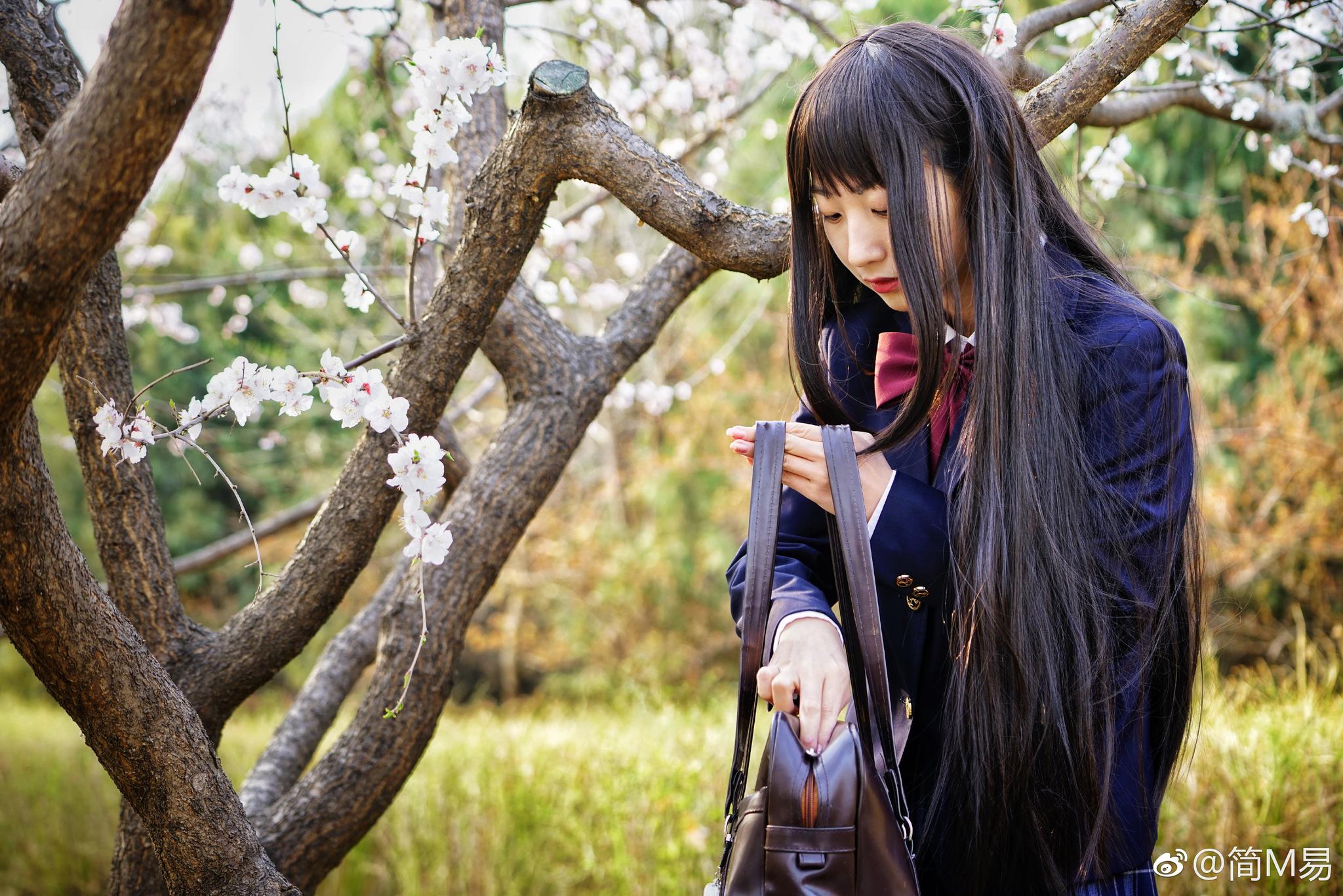 京城～满城春色(9)|美眉|杏花|麻豆_新浪新闻