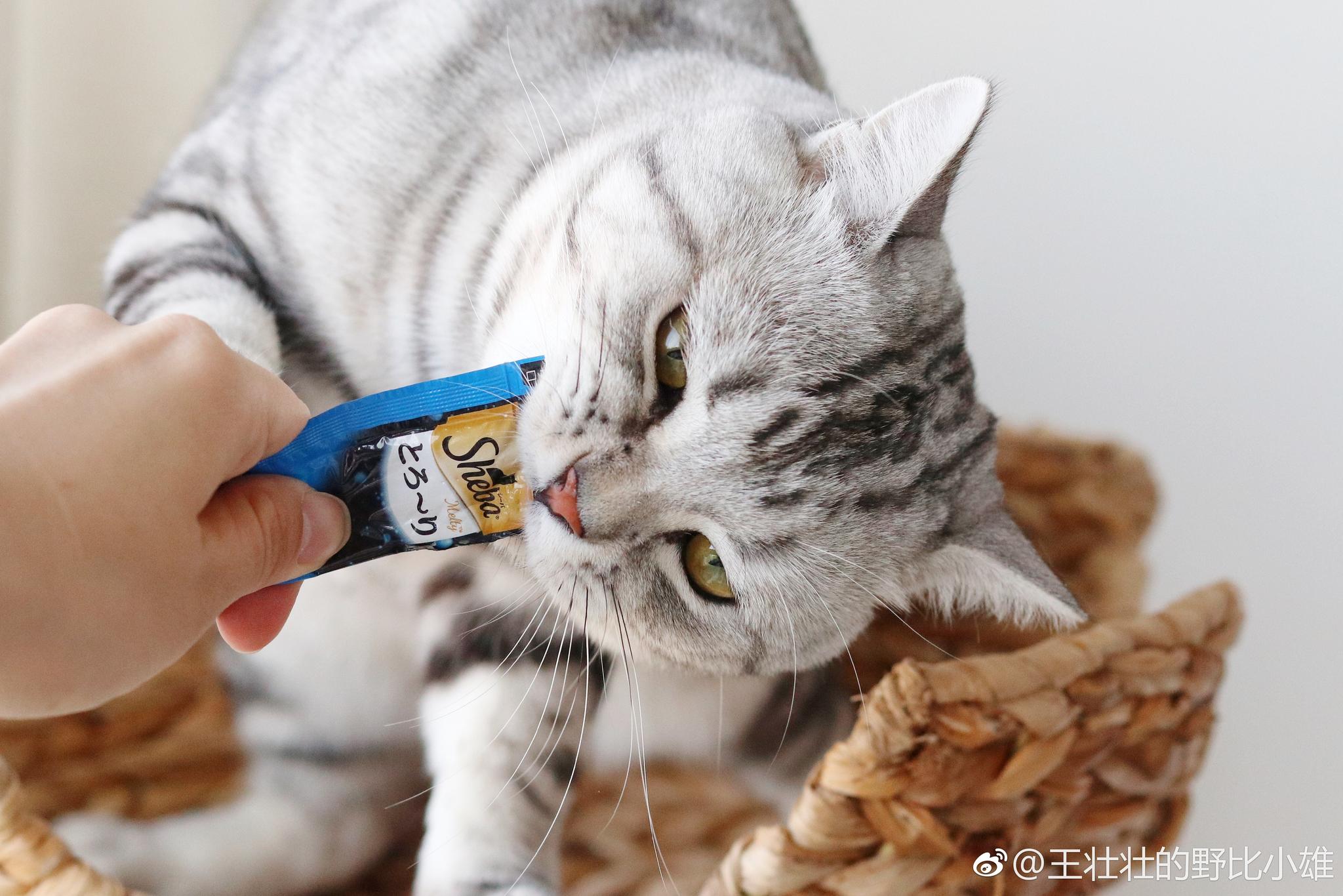 是靠自己扎扎实实的努力得来的 (悄咪咪的问|咪咪|口吃|零食_新浪新闻
